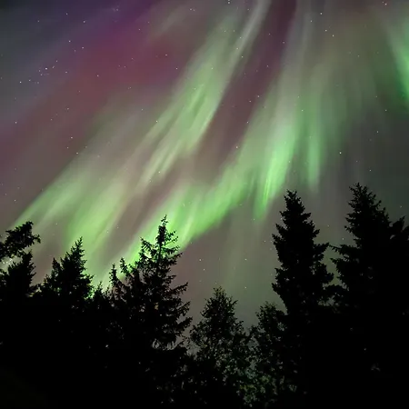 Maison d'hôtes Tromso Hakoyveien 151 3*